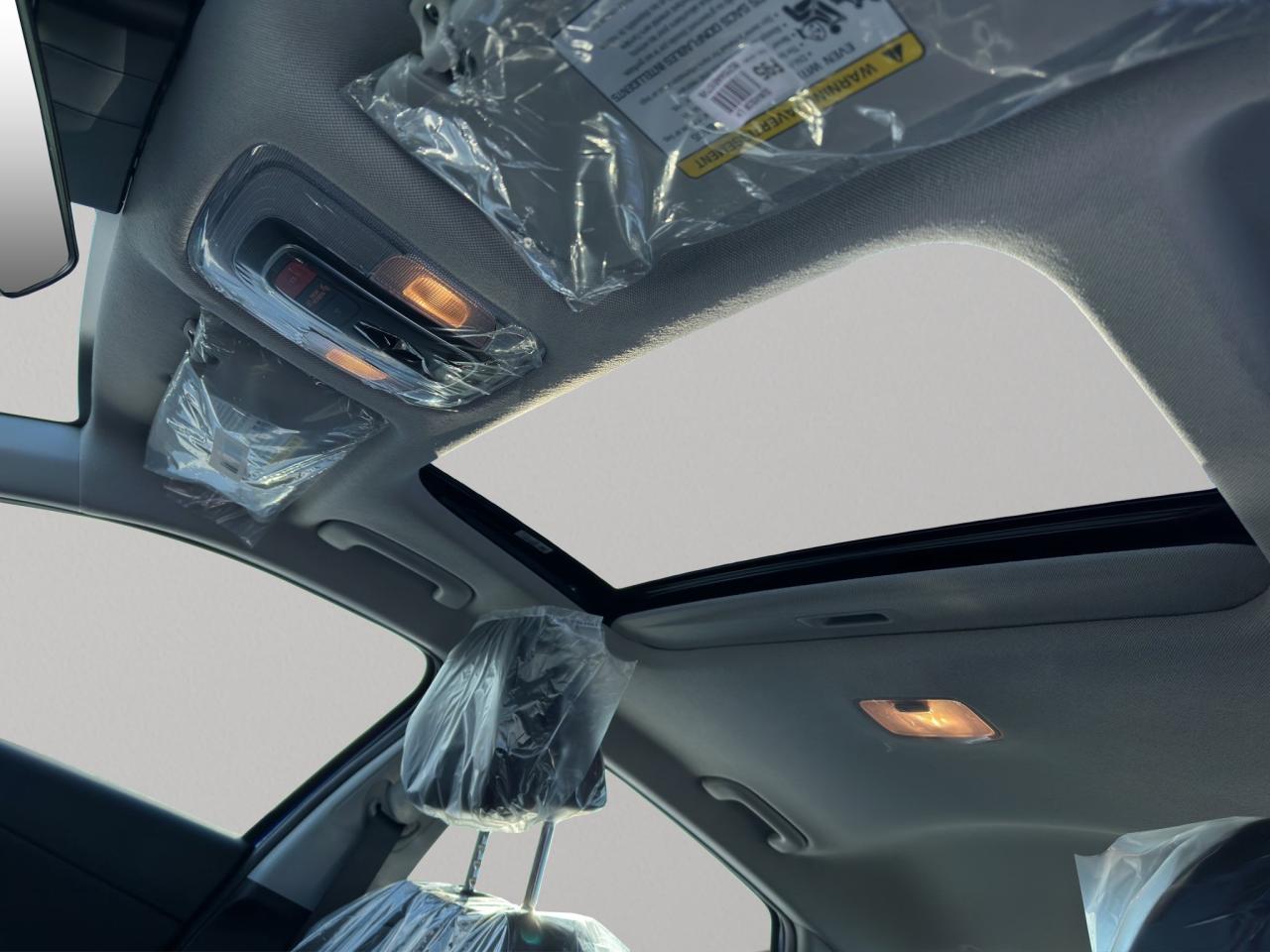 2026 Hyundai Elantra Hybrid Luxury Photo