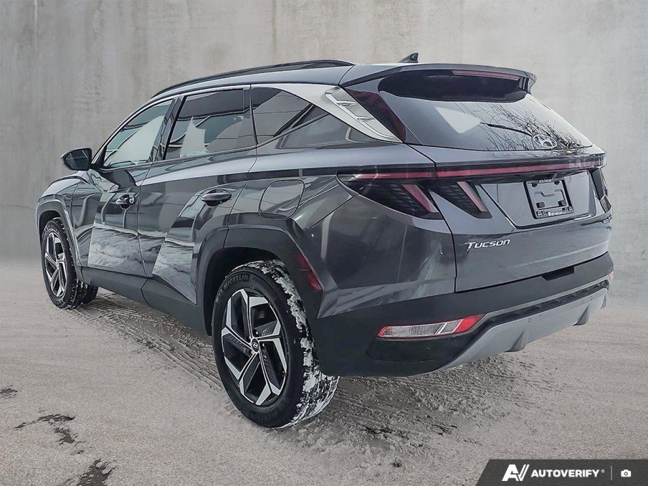 2024 Hyundai Tucson Hybrid Luxury AWD | Wireless Apple Car Play | Bose Audio | Photo