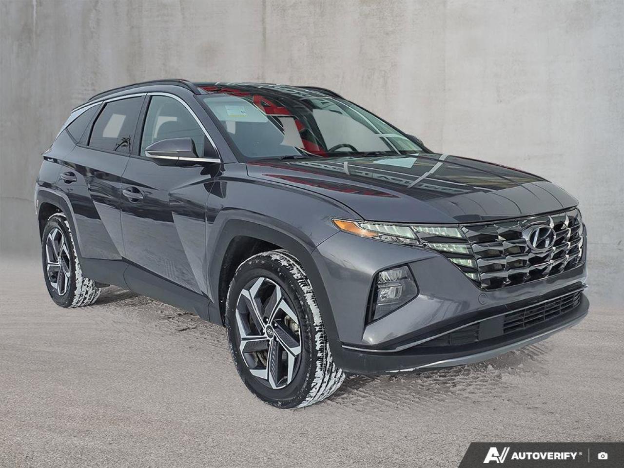 2024 Hyundai Tucson Hybrid Luxury AWD | Wireless Apple Car Play | Bose Audio | Photo