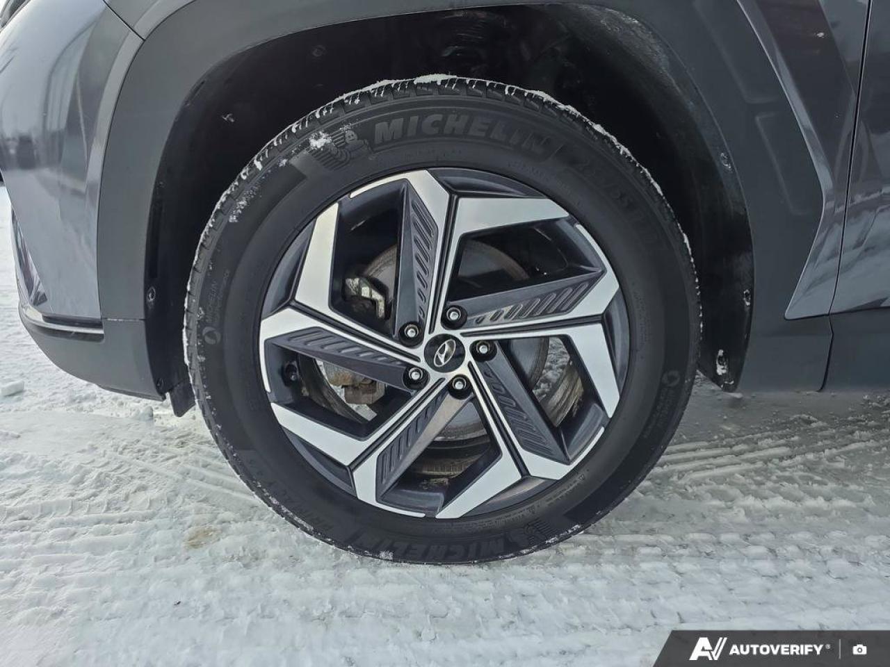 2024 Hyundai Tucson Hybrid Luxury AWD | Wireless Apple Car Play | Bose Audio | Photo