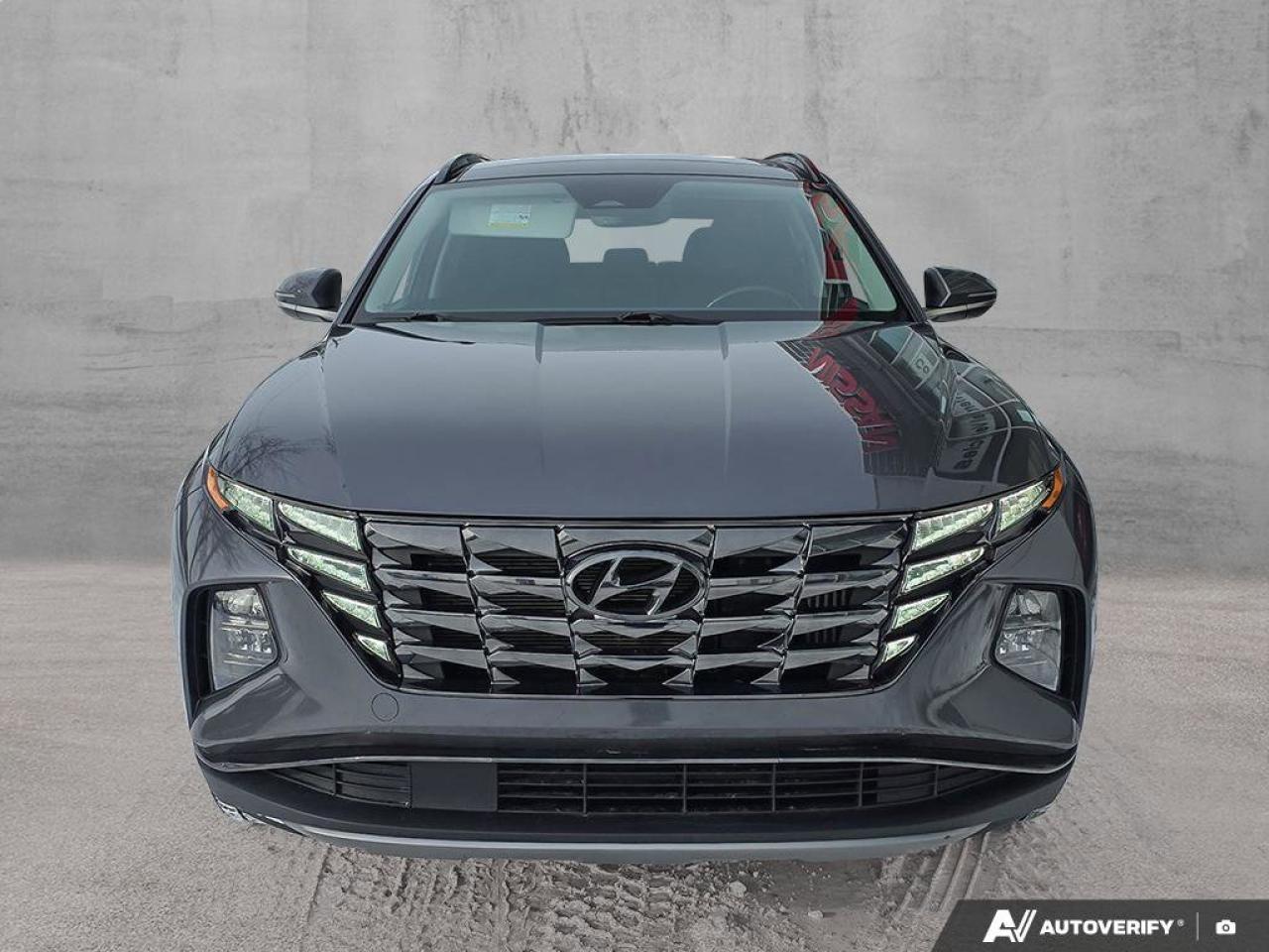 2024 Hyundai Tucson Hybrid Luxury AWD | Wireless Apple Car Play | Bose Audio | Photo