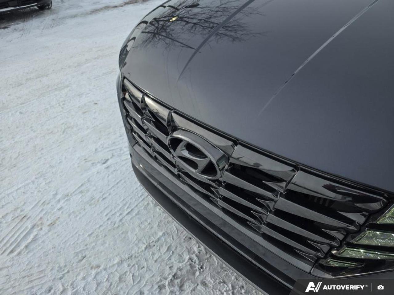 2024 Hyundai Tucson Hybrid Luxury AWD | Wireless Apple Car Play | Bose Audio | Photo