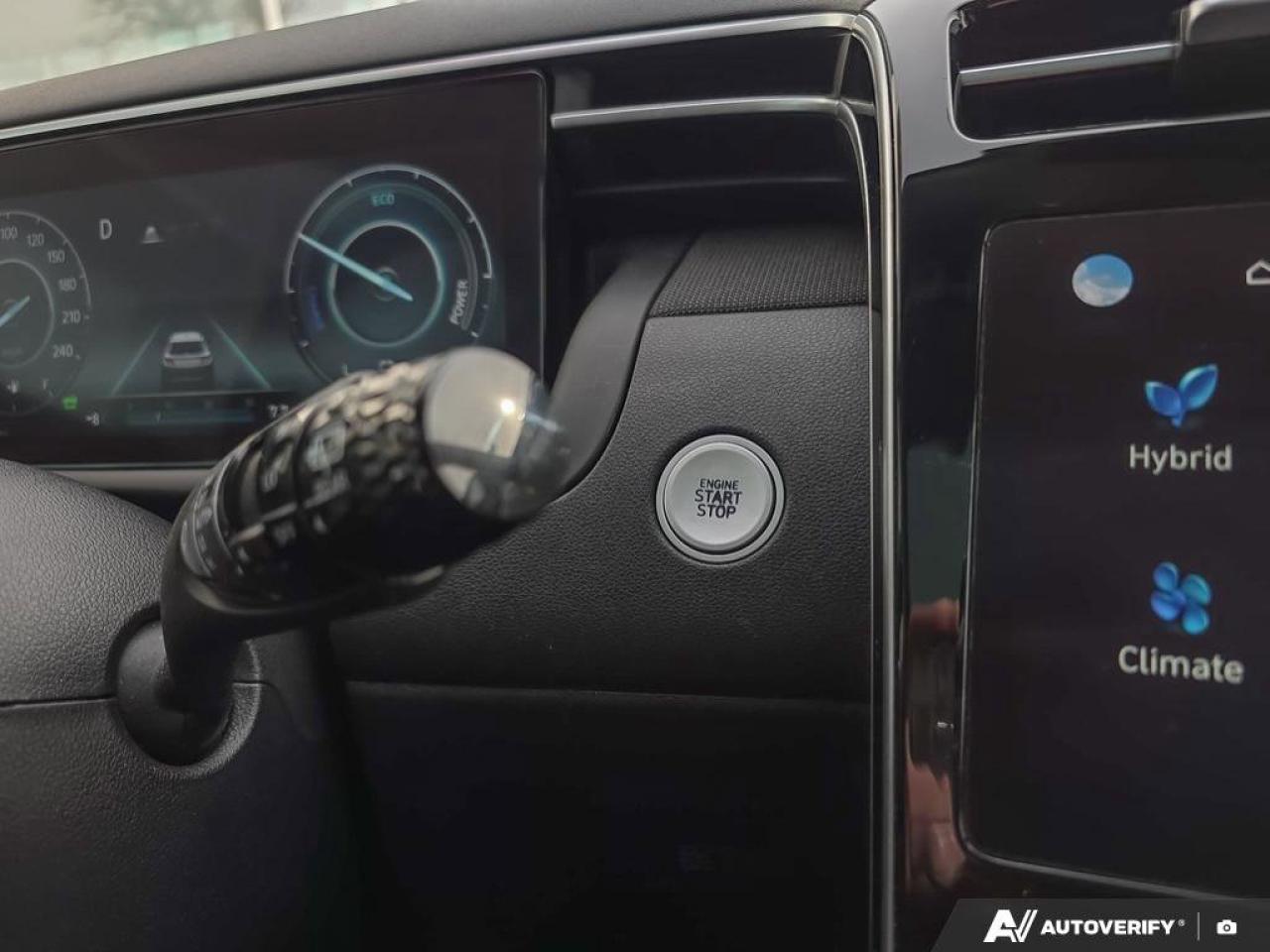 2024 Hyundai Tucson Hybrid Luxury AWD | Wireless Apple Car Play | Bose Audio | Photo