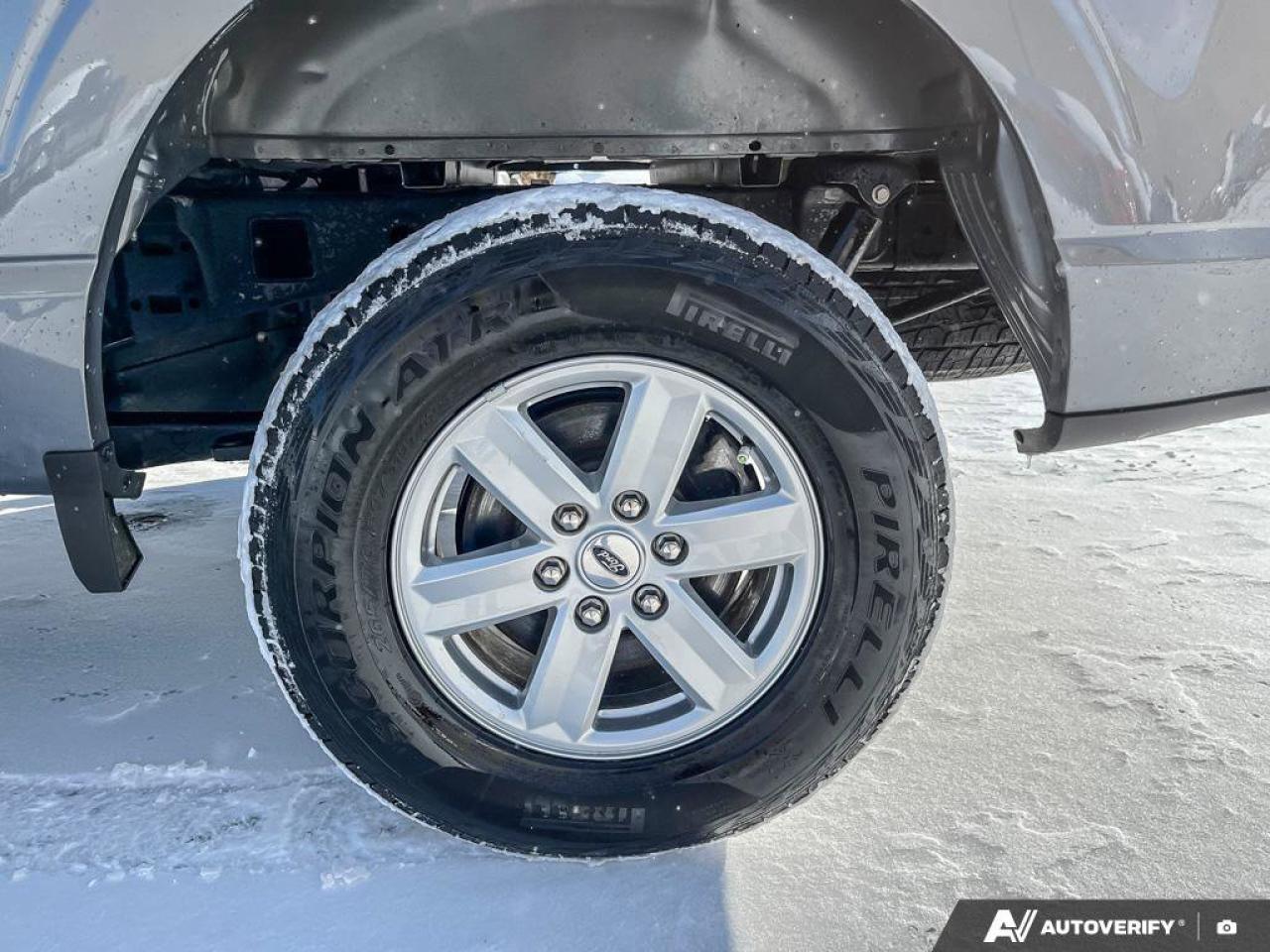 2023 Ford F-150 XLT Crew 4X4 | 3.5L EcoBoost | Power Seat | CarPlay + Android | Rear Camera | and more! Photo