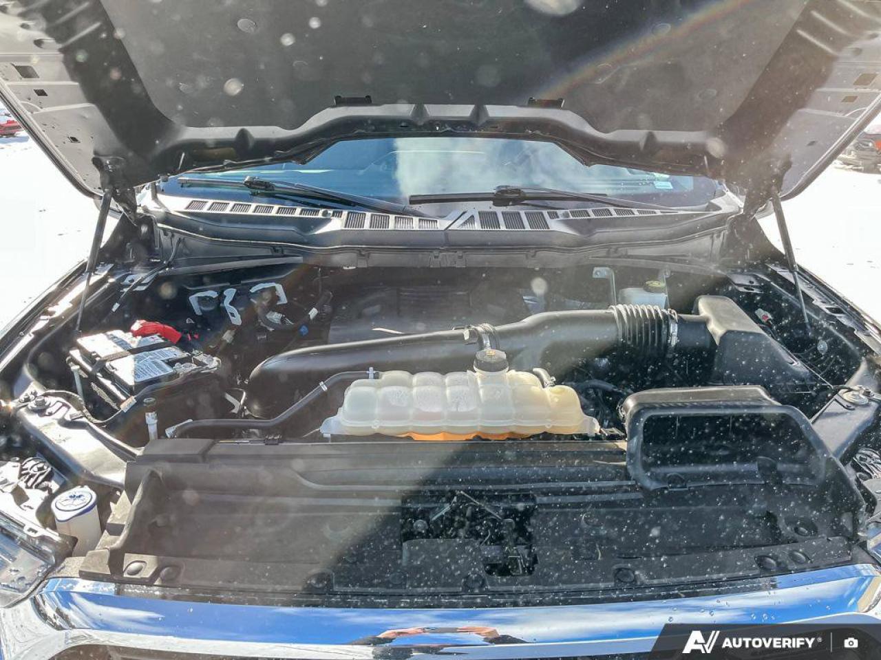 2023 Ford F-150 XLT Crew 4X4 | 3.5L EcoBoost | Power Seat | CarPlay + Android | Rear Camera | and more! Photo