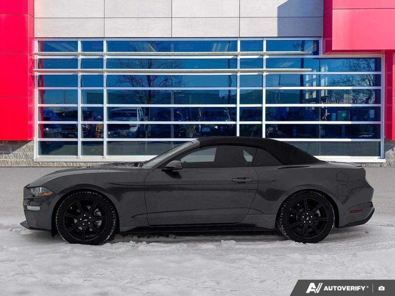 2018 Ford Mustang EcoBoost Premium Convertible | Leather | Cooled + Heated Seats | Nav | New Tires Photo