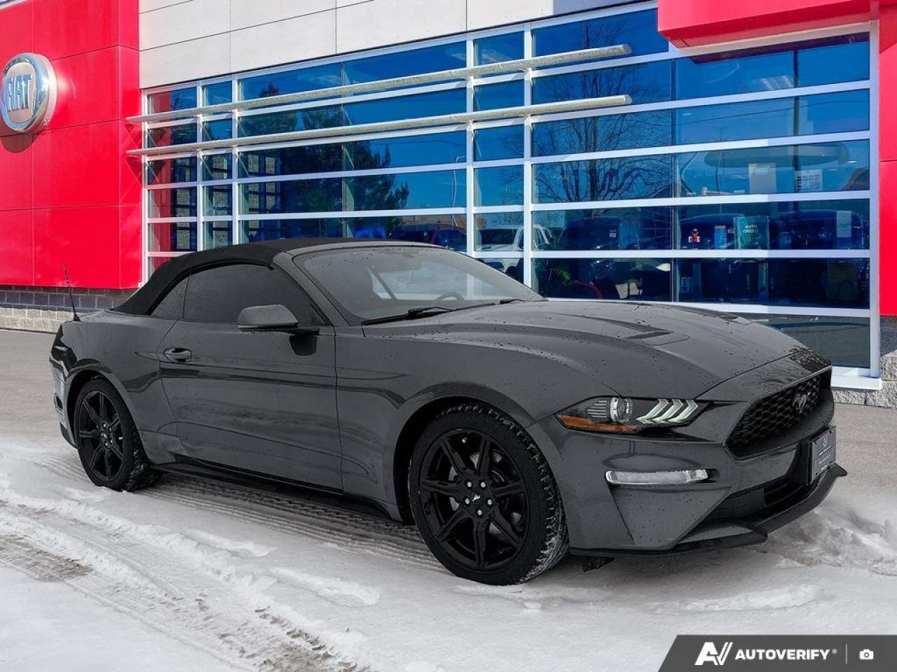 2018 Ford Mustang EcoBoost Premium Convertible | Leather | Cooled + Heated Seats | Nav | New Tires Photo