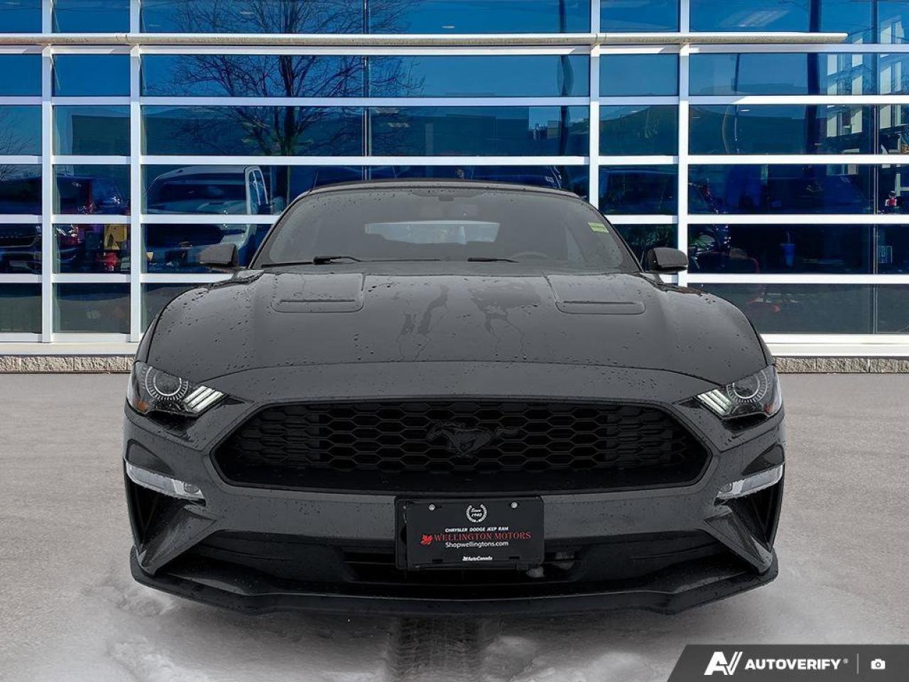 2018 Ford Mustang EcoBoost Premium Convertible | Leather | Cooled + Heated Seats | Nav | New Tires Photo