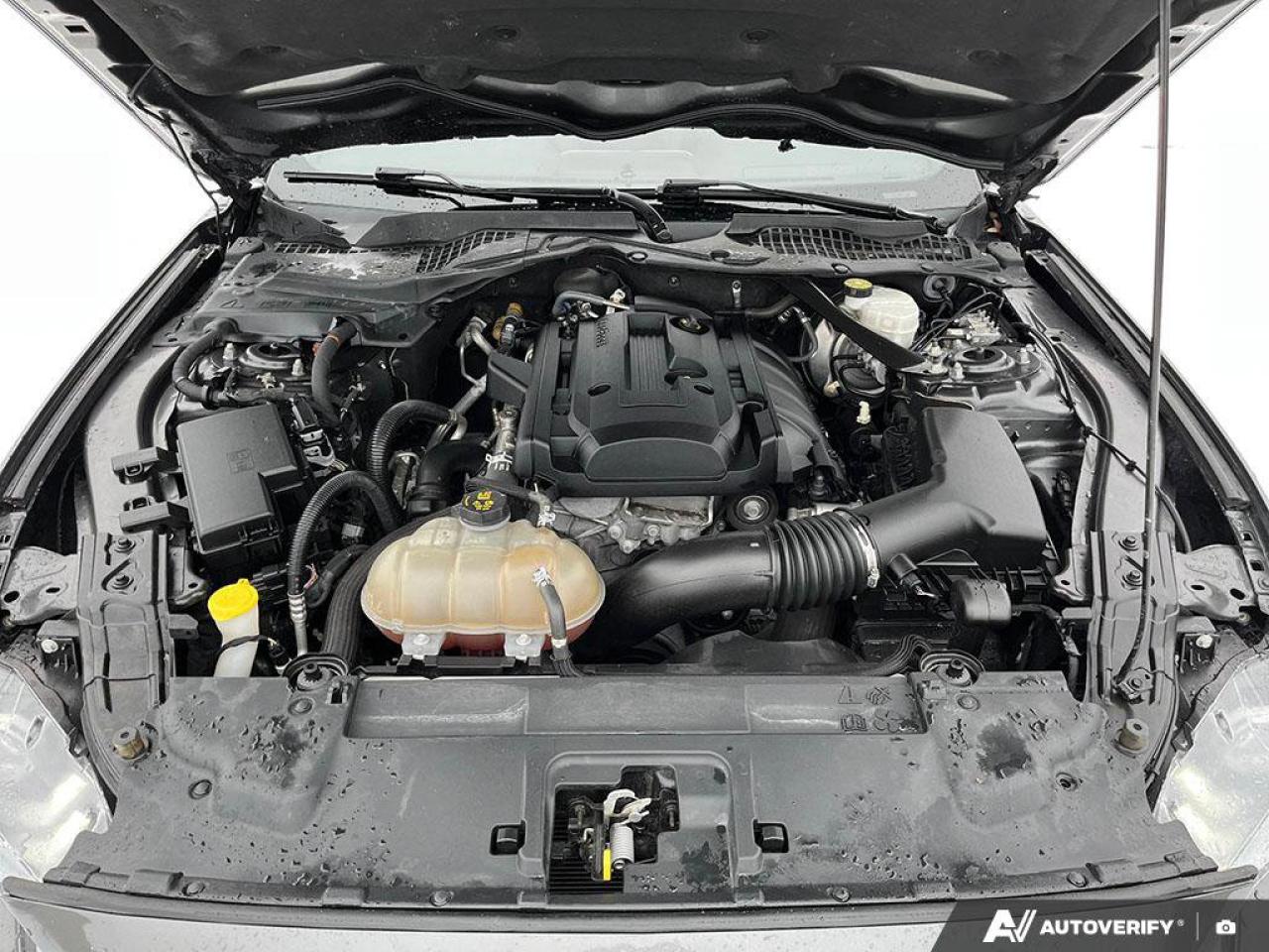 2018 Ford Mustang EcoBoost Premium Convertible | Leather | Cooled + Heated Seats | Nav | New Tires Photo