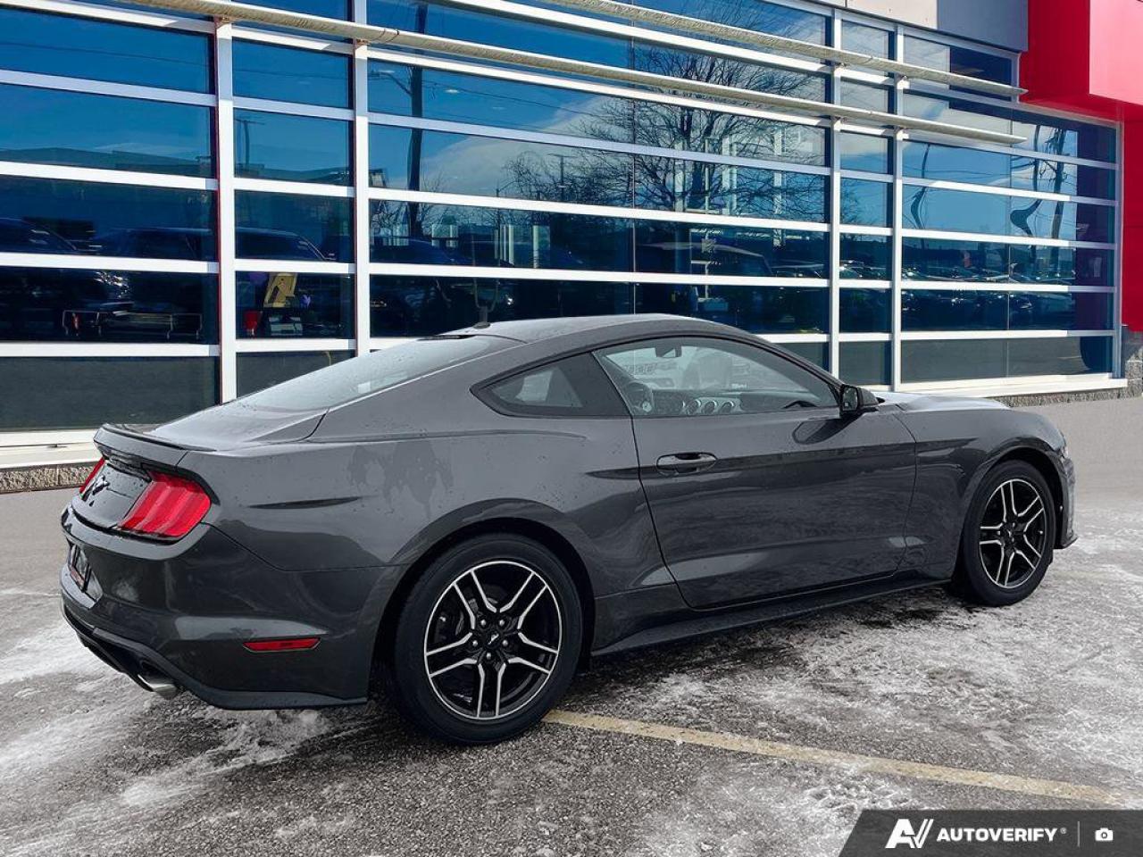 2020 Ford Mustang EcoBoost Premium Coupe | Manual | Leather | Nav | Cooled + Heated Seats | and More ! Photo