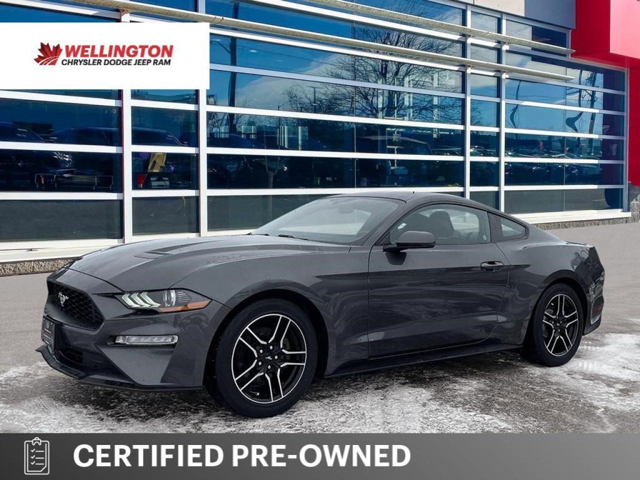2020 Ford Mustang EcoBoost Premium Coupe | Manual | Leather | Nav | Cooled + Heated Seats | and More ! Photo0