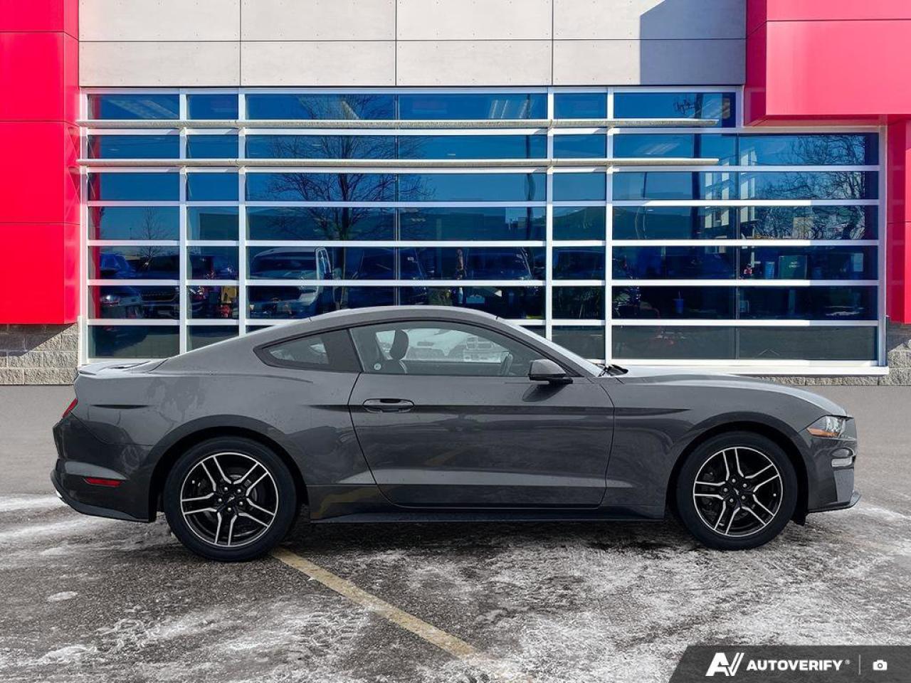 2020 Ford Mustang EcoBoost Premium Coupe | Manual | Leather | Nav | Cooled + Heated Seats | and More ! Photo