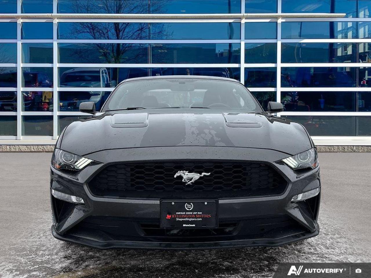 2020 Ford Mustang EcoBoost Premium Coupe | Manual | Leather | Nav | Cooled + Heated Seats | and More ! Photo