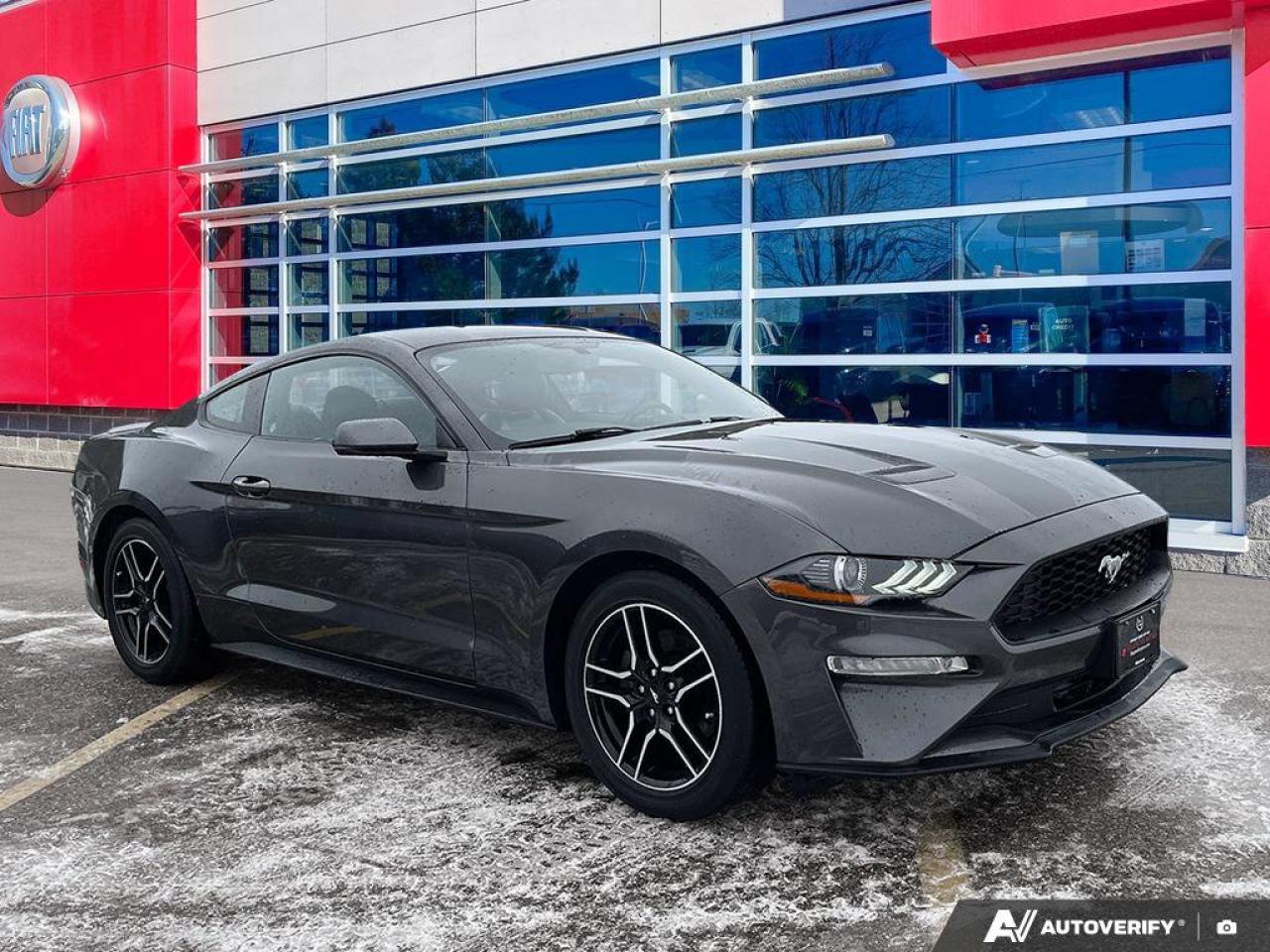 2020 Ford Mustang EcoBoost Premium Coupe | Manual | Leather | Nav | Cooled + Heated Seats | and More ! Photo