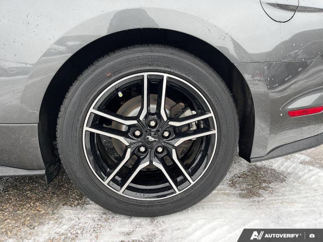 2020 Ford Mustang EcoBoost Premium Coupe | Manual | Leather | Nav | Cooled + Heated Seats | and More ! Photo