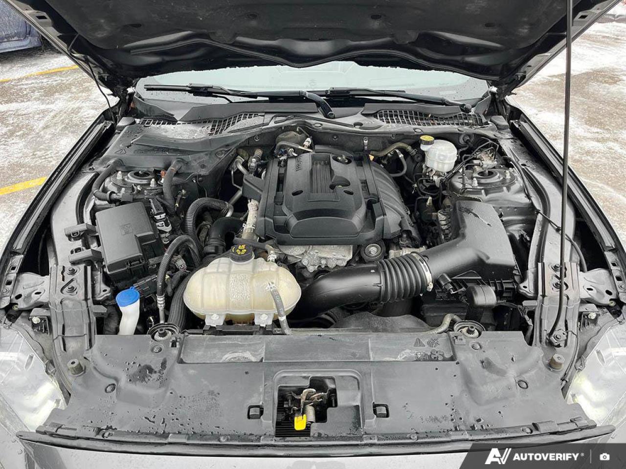 2020 Ford Mustang EcoBoost Premium Coupe | Manual | Leather | Nav | Cooled + Heated Seats | and More ! Photo