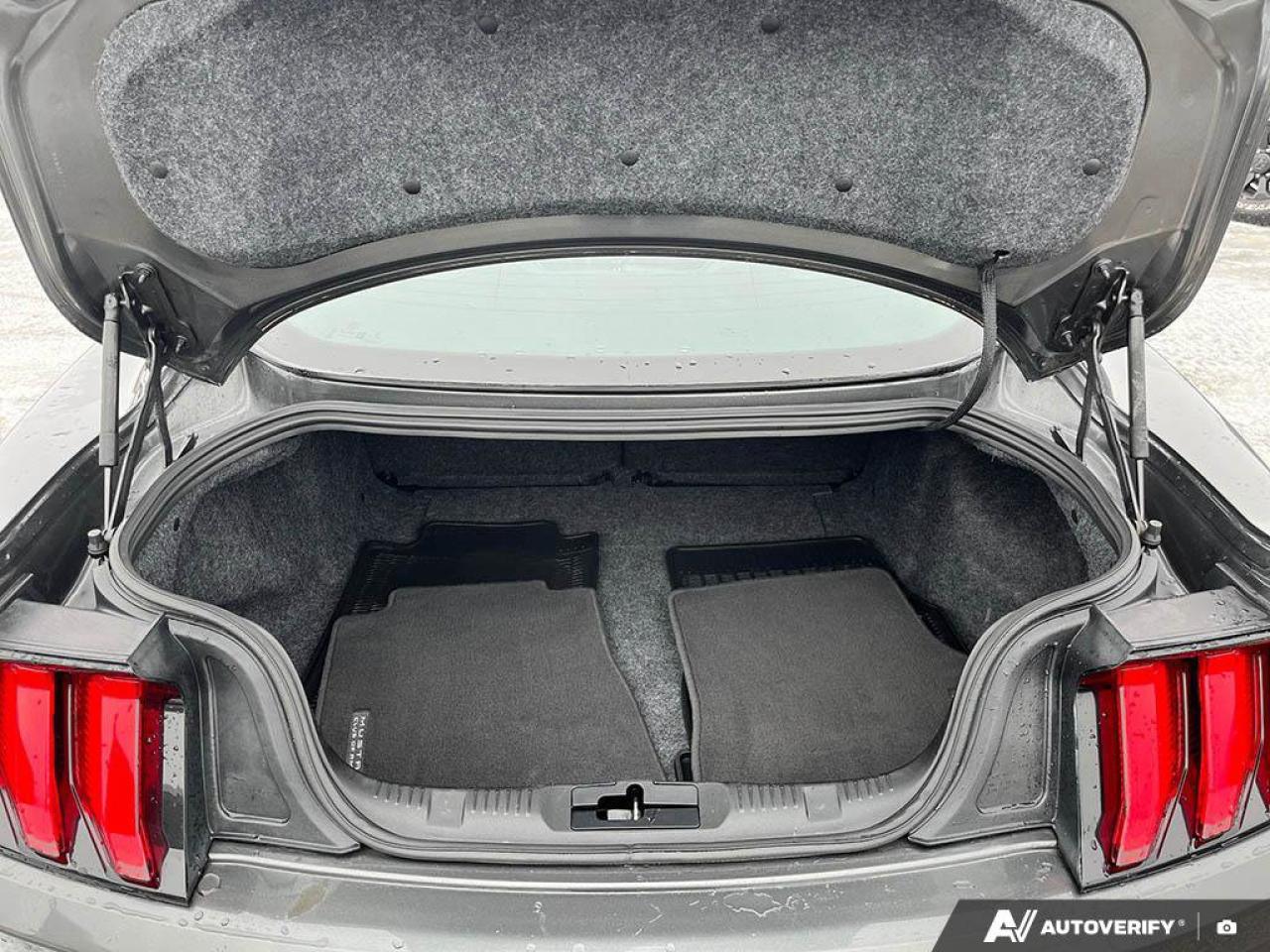 2020 Ford Mustang EcoBoost Premium Coupe | Manual | Leather | Nav | Cooled + Heated Seats | and More ! Photo