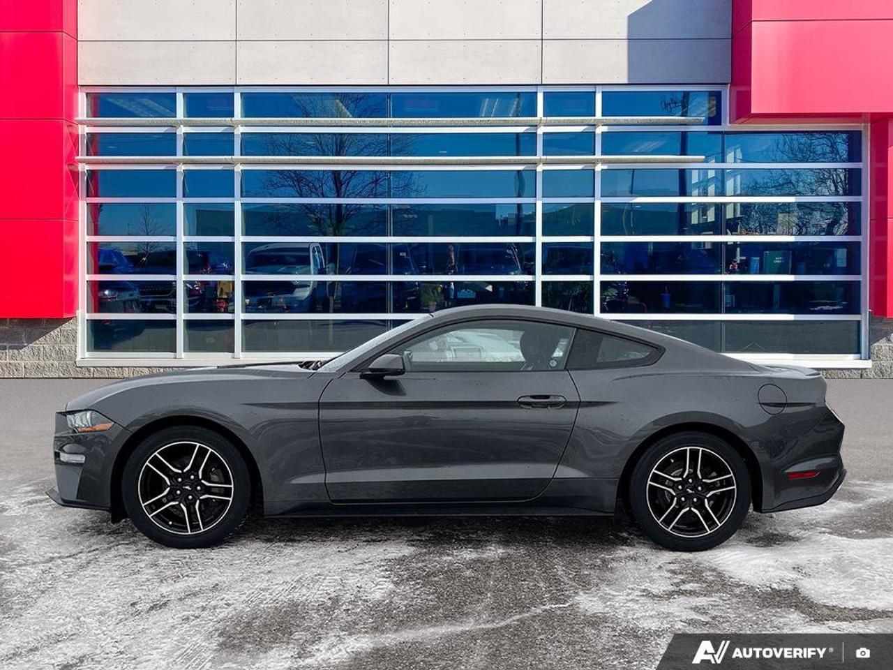 2020 Ford Mustang EcoBoost Premium Coupe | Manual | Leather | Nav | Cooled + Heated Seats | and More ! Photo
