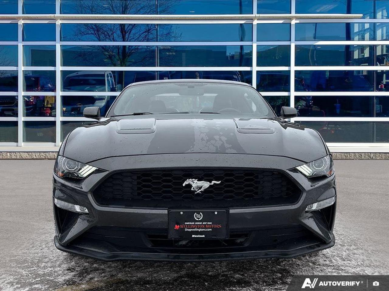 2020 Ford Mustang EcoBoost Premium Coupe | Manual | Leather | Nav | Cooled + Heated Seats | and More ! Photo