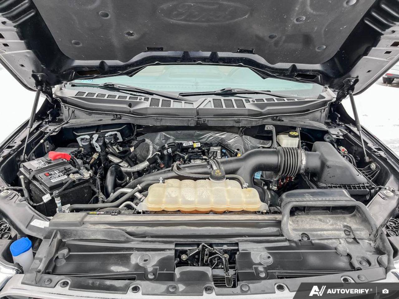 2022 Ford F-150  Photo