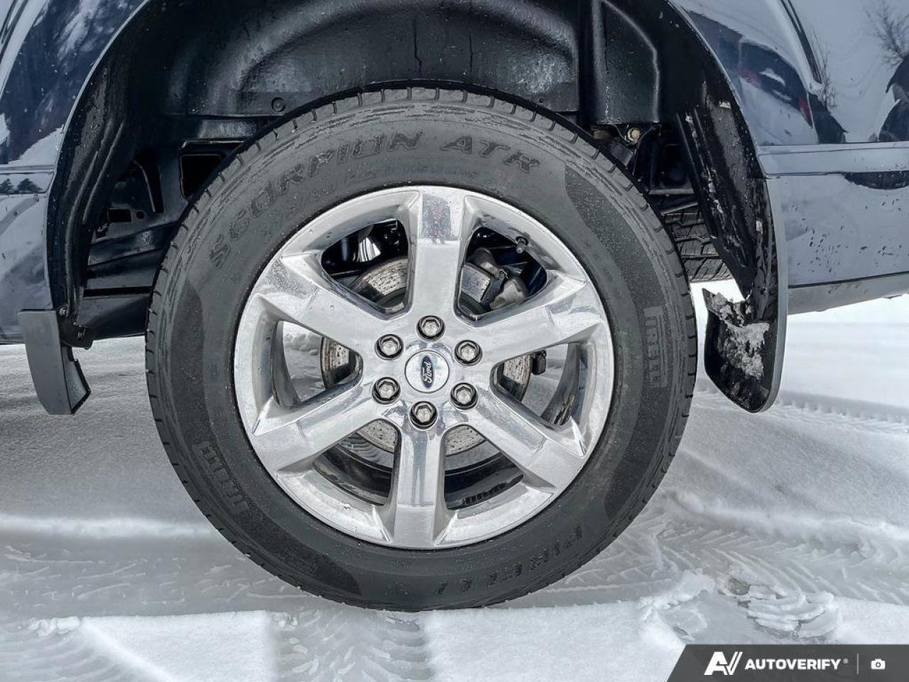 2022 Ford F-150  Photo