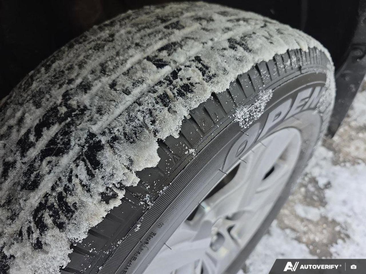 2023 Toyota RAV4 XLE AWD | Heated Seat | Apple Car Play | Android Auto | Photo