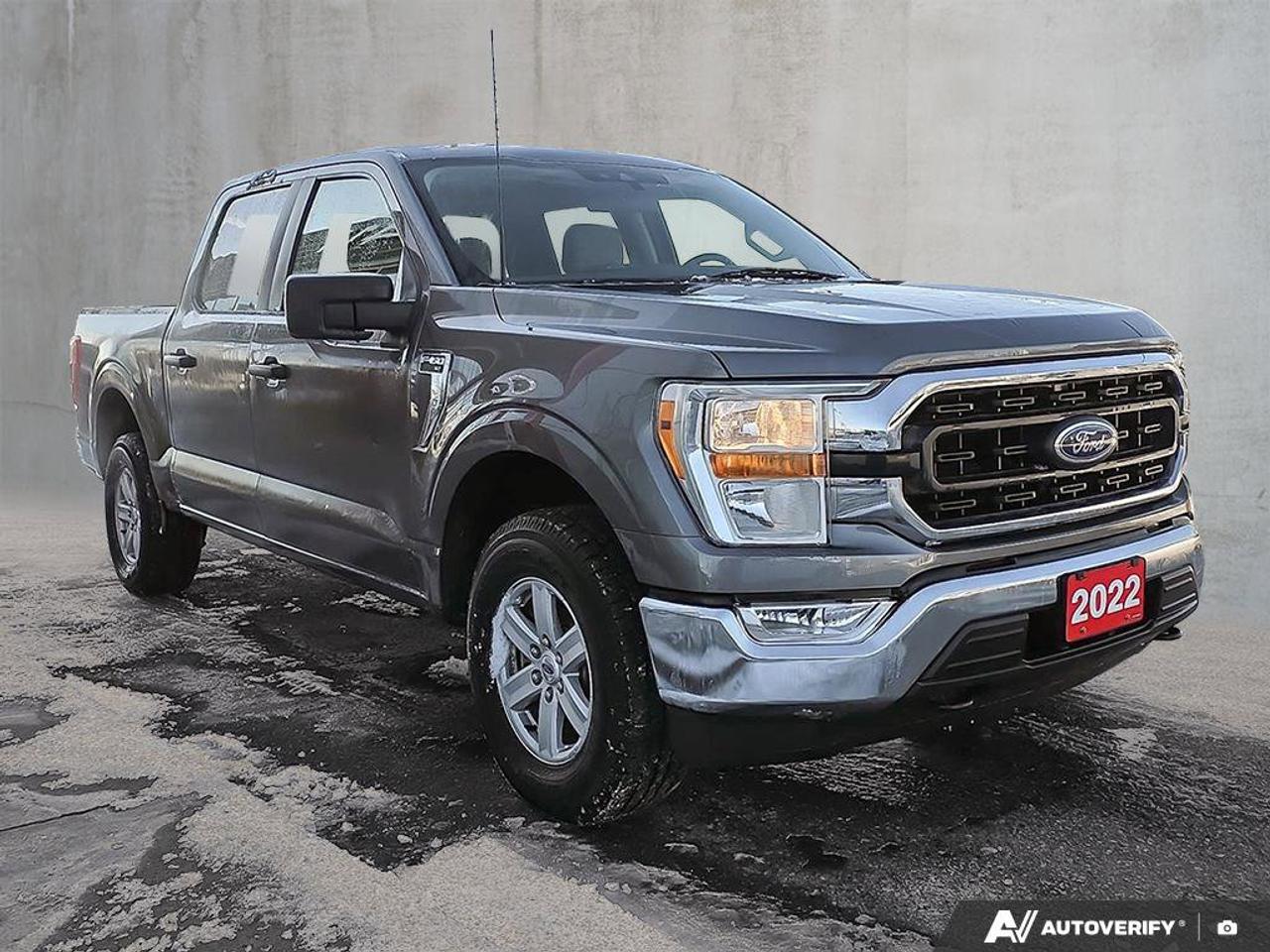 2022 Ford F-150 XLT | Dynamic Hitch Assist |  Class IV Trailer Hitch Photo