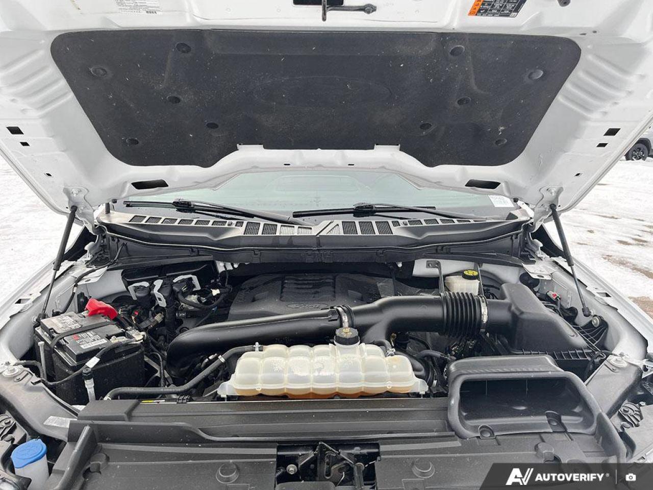 2023 Ford F-150 XLT Crew 4X4 | 3.5L EcoBoost | Trailer Brake Controller | Power Seat | Rear Camera | and More ! Photo