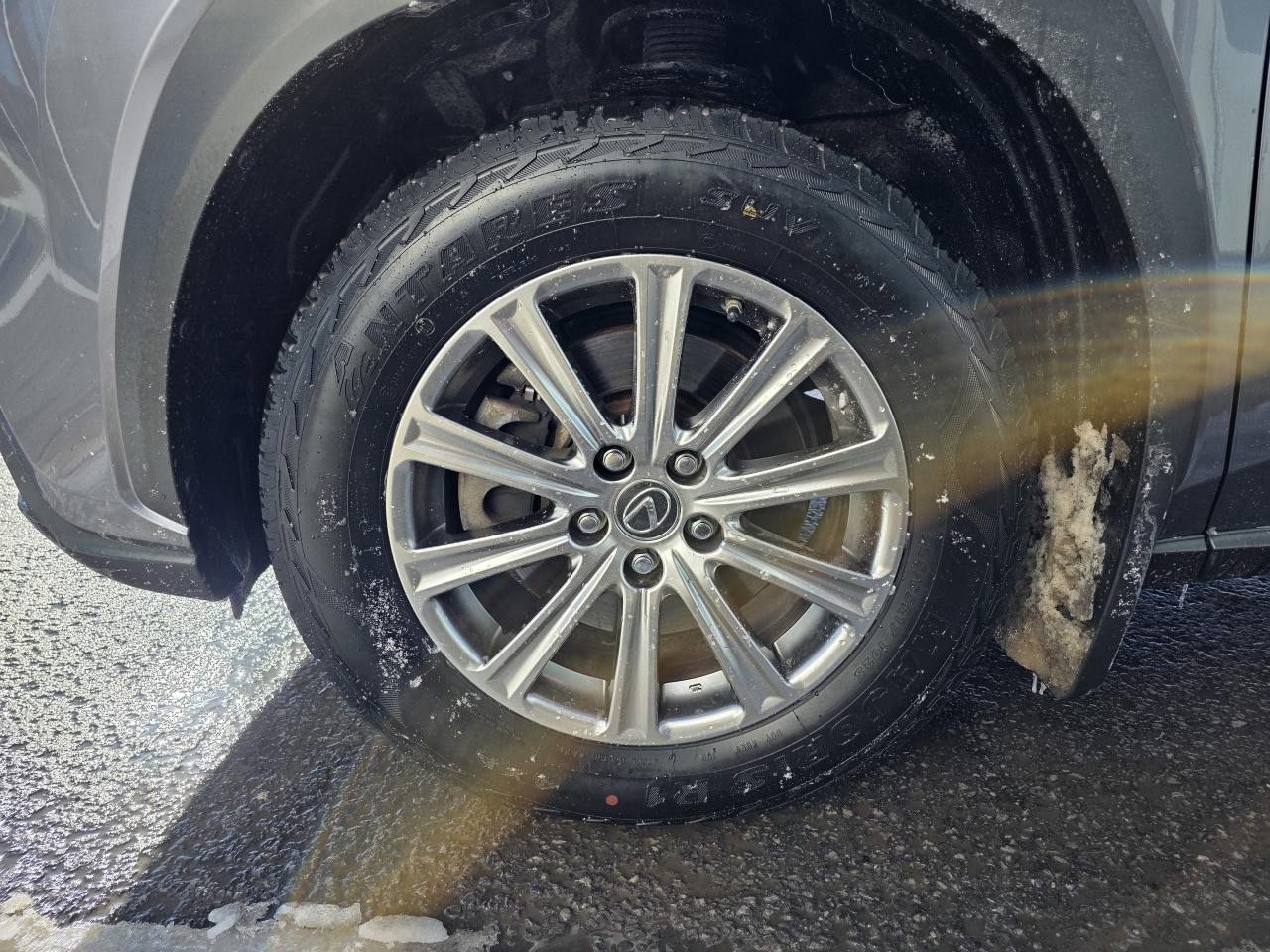 2021 Lexus NX 300 | AWD | Android Auto | Apple Car Play | Leather | Photo