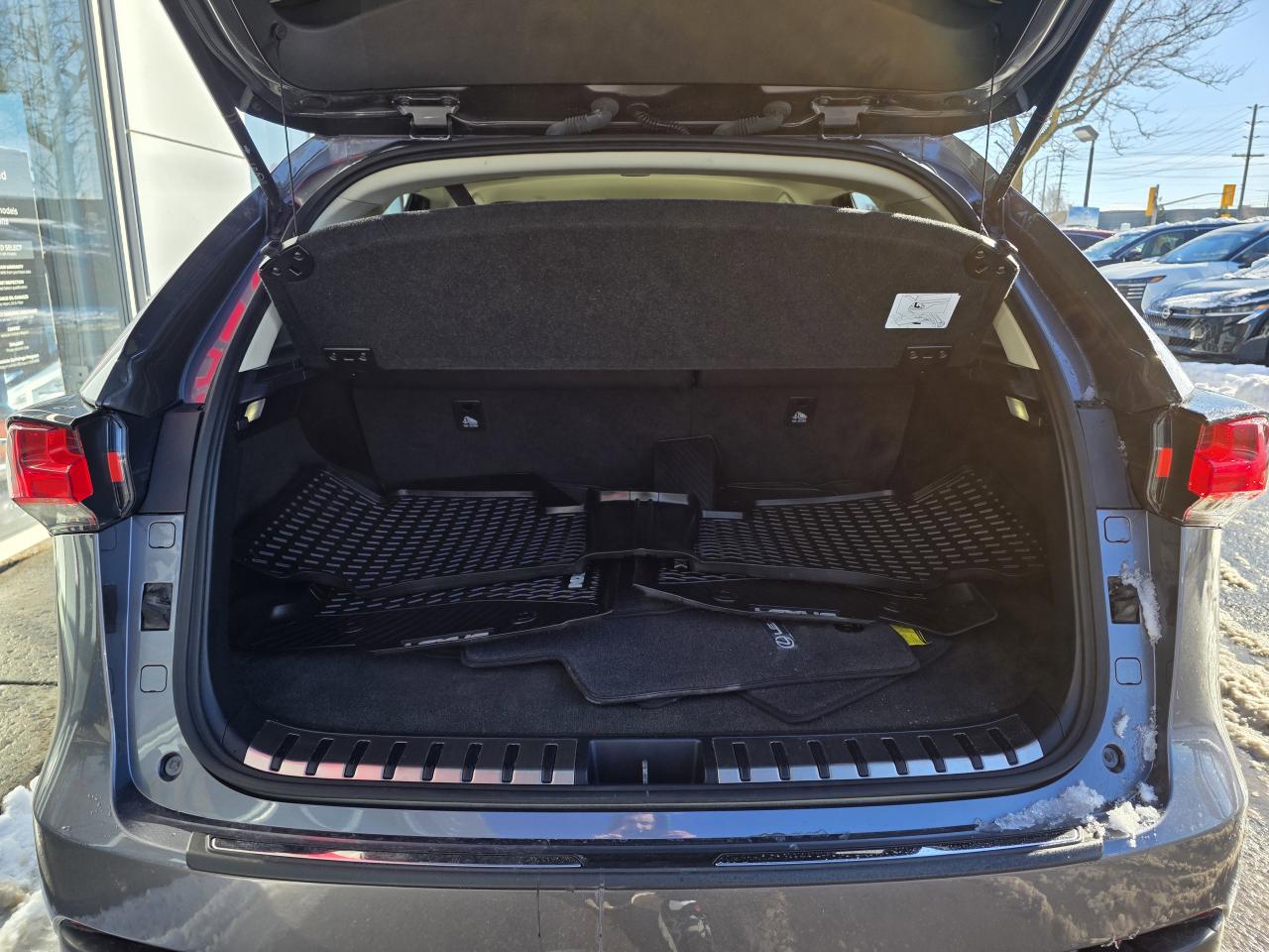 2021 Lexus NX 300 | AWD | Android Auto | Apple Car Play | Leather | Photo