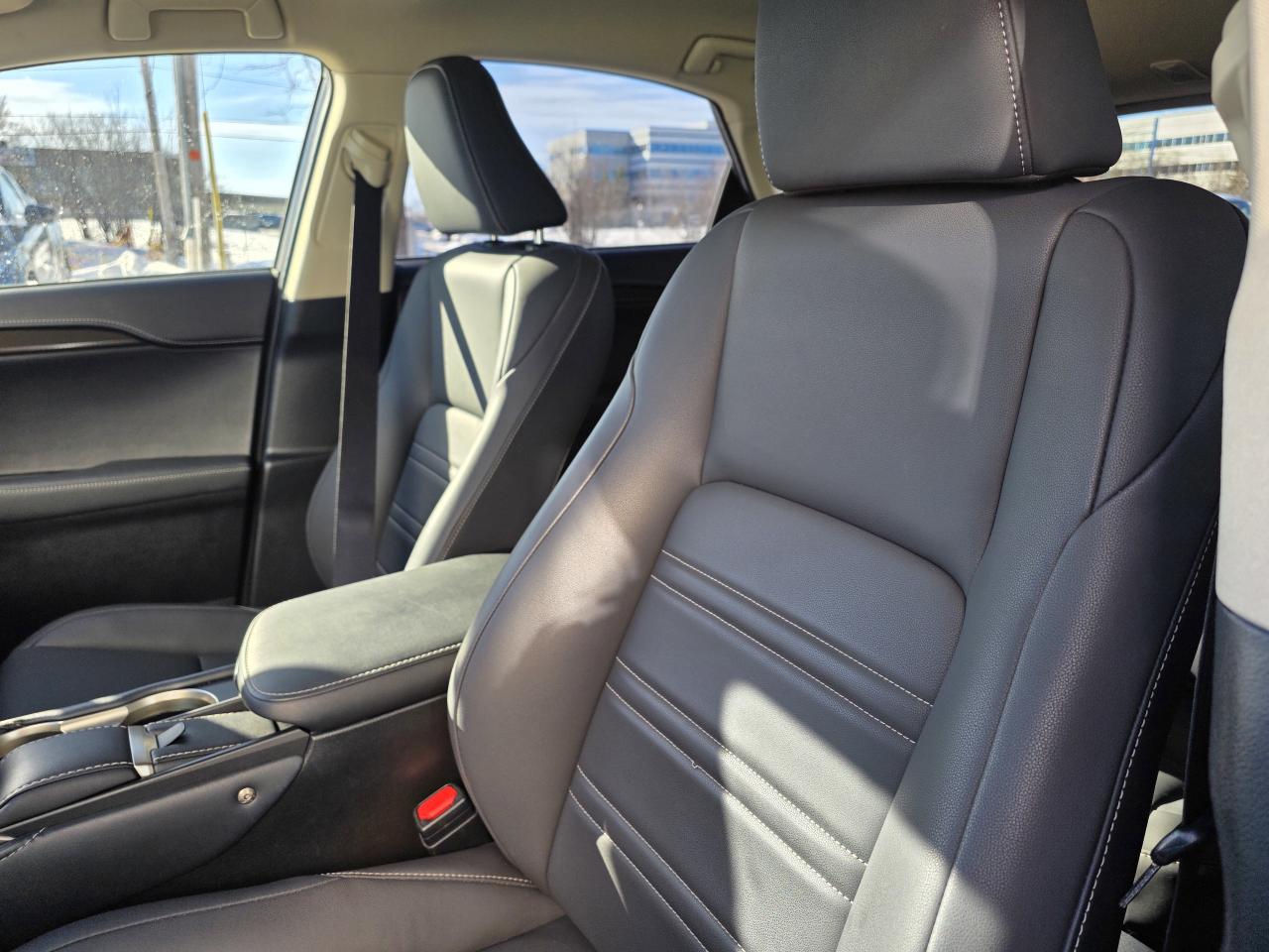 2021 Lexus NX 300 | AWD | Android Auto | Apple Car Play | Leather | Photo