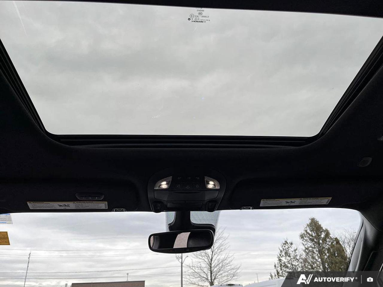 2025 Chrysler Pacifica Limited | Nav | Sunroof | Leather | Power Doors | Photo