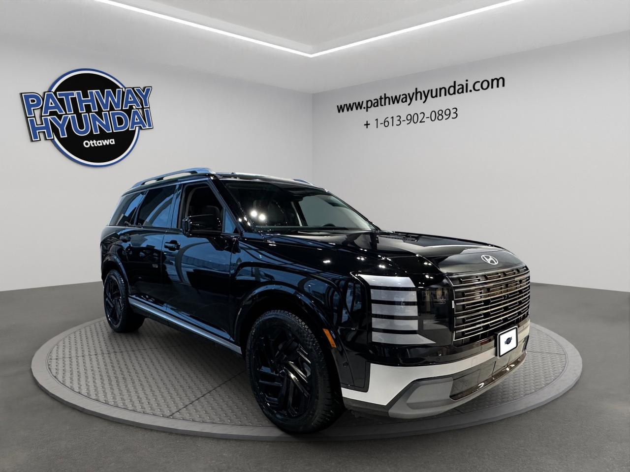 2026 Hyundai Palisade Hybrid Luxury Photo