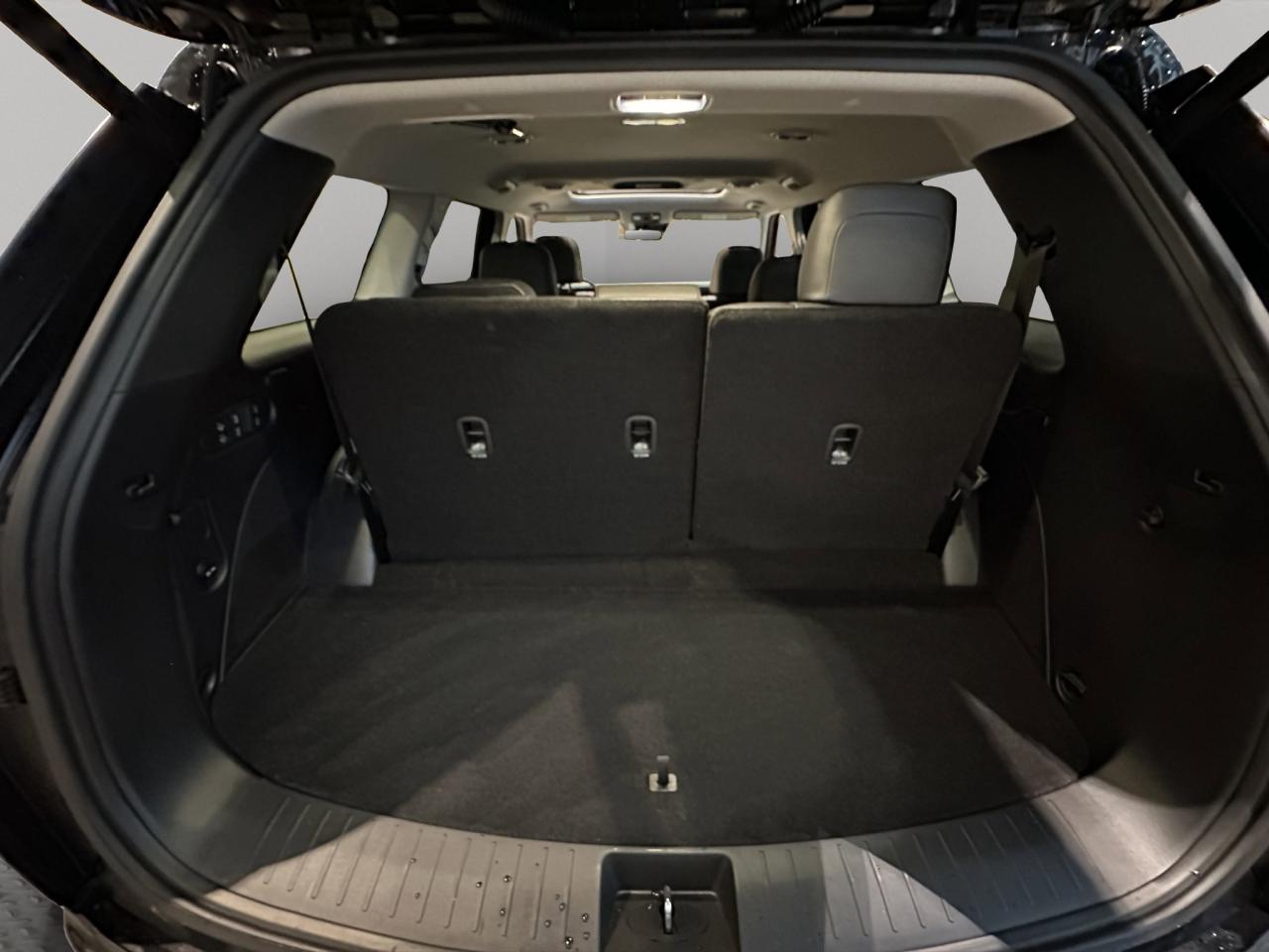 2026 Hyundai Palisade Hybrid Luxury Photo