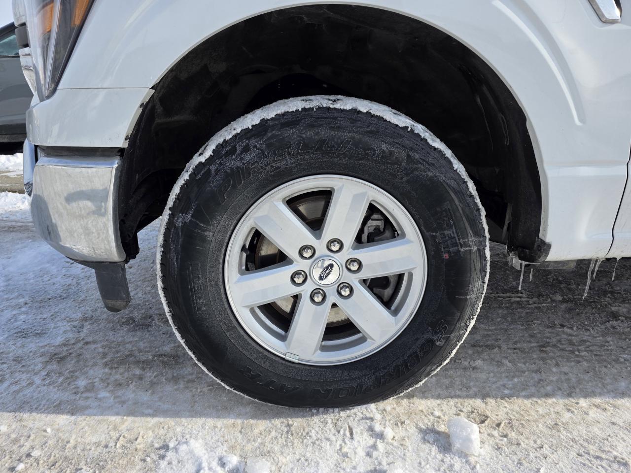 2023 Ford F-150 XLT Photo