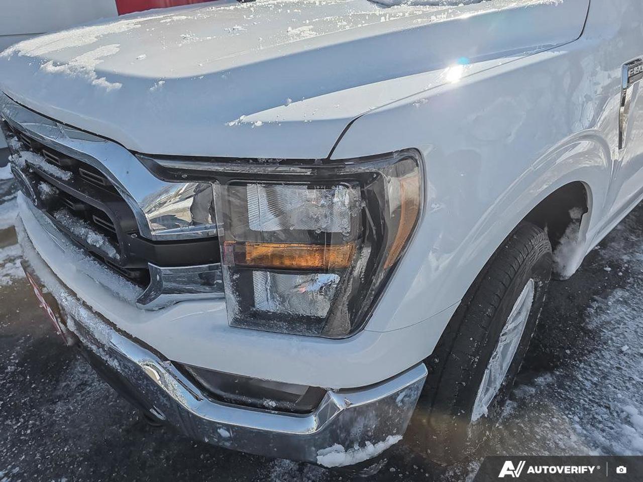 2023 Ford F-150 XLT Photo