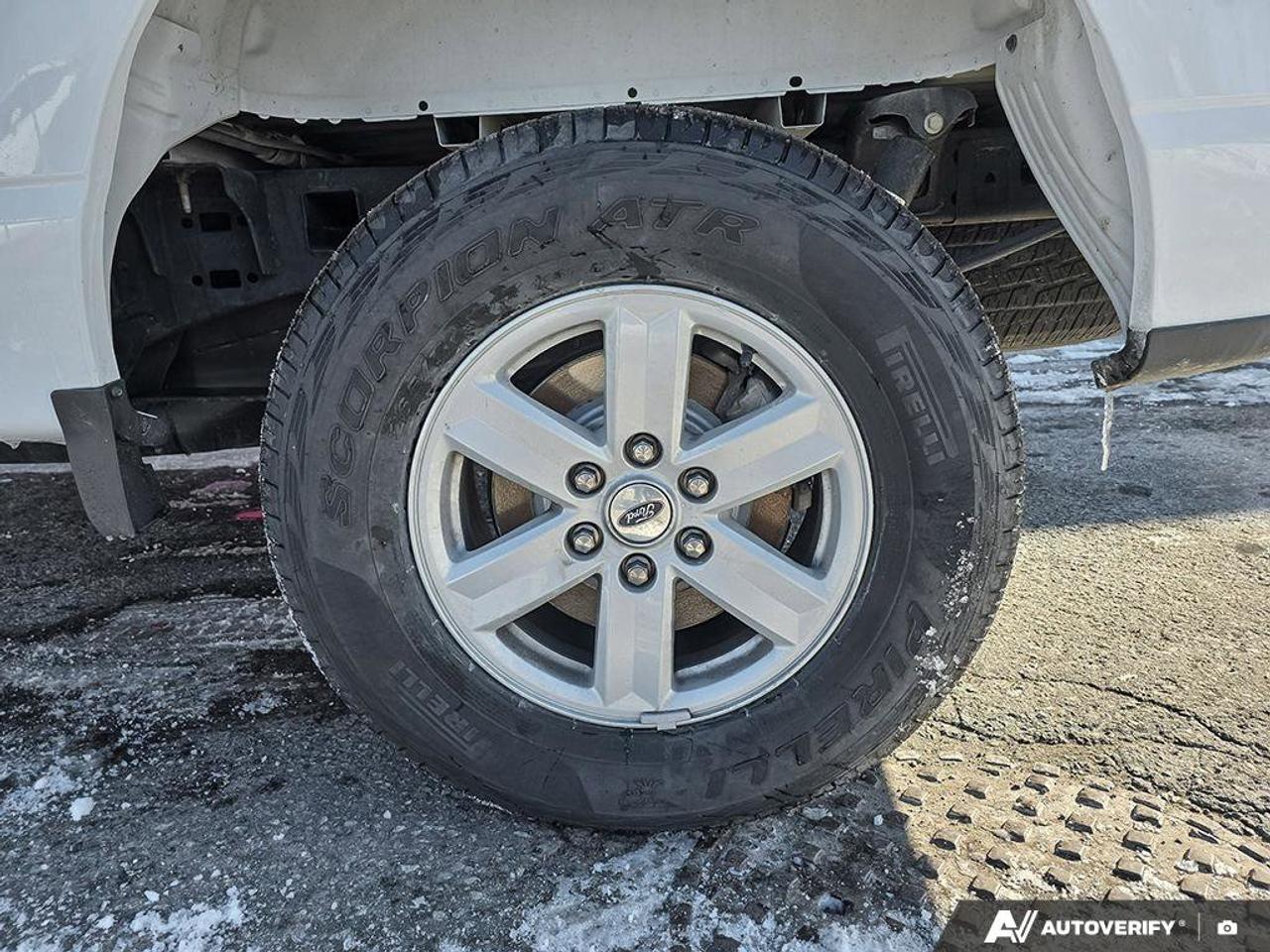 2023 Ford F-150 XLT Photo