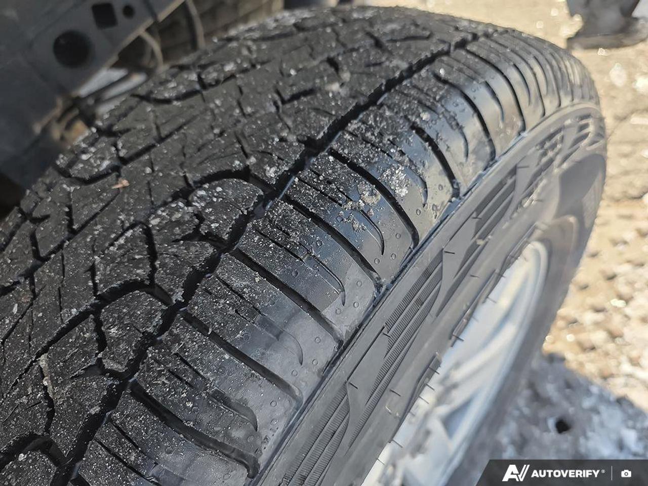 2023 Ford F-150 XLT Photo