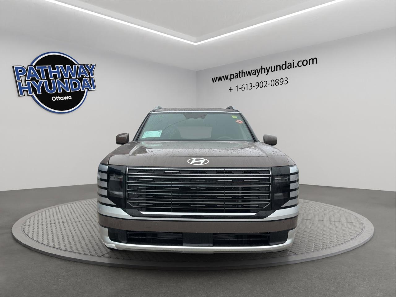 2026 Hyundai PALISADE Ultimate Calligraphy Photo