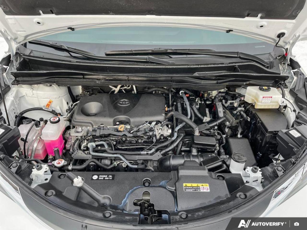 2025 Toyota Sienna XLE Photo