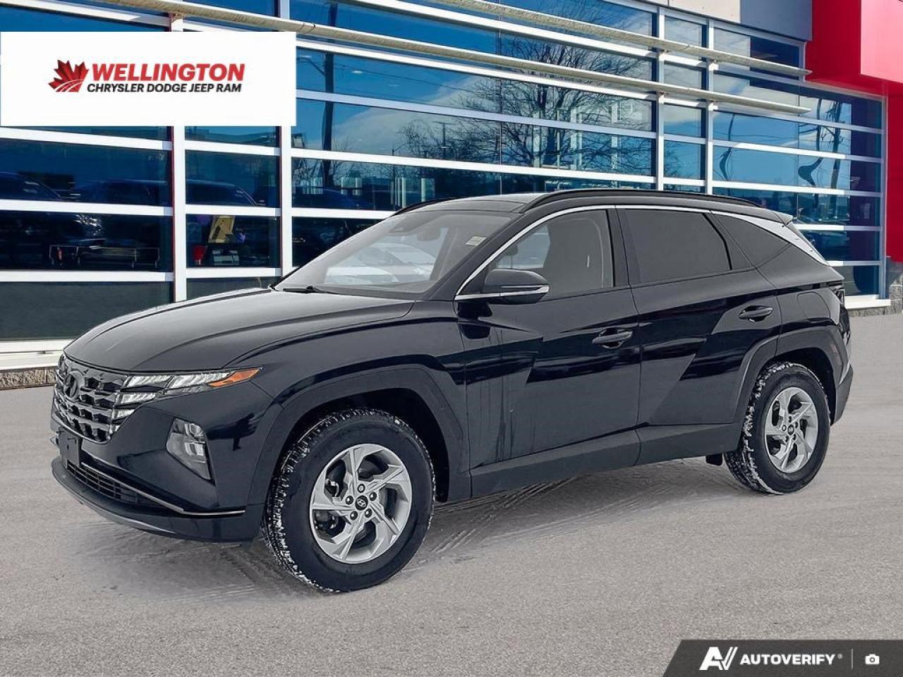 2024 Hyundai Tucson TREND Photo