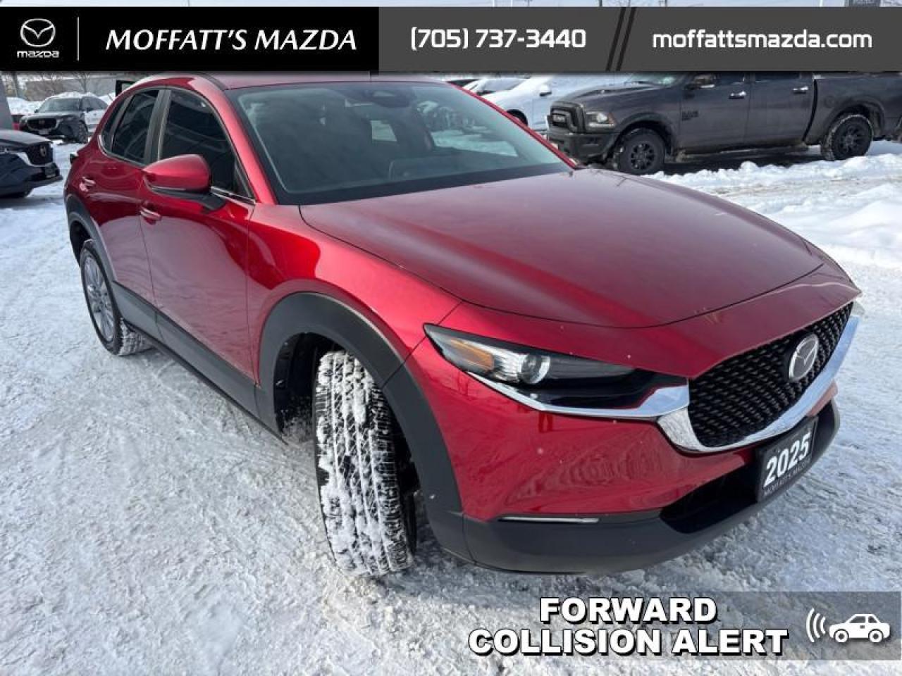 2025 Mazda CX-30 GS Photo