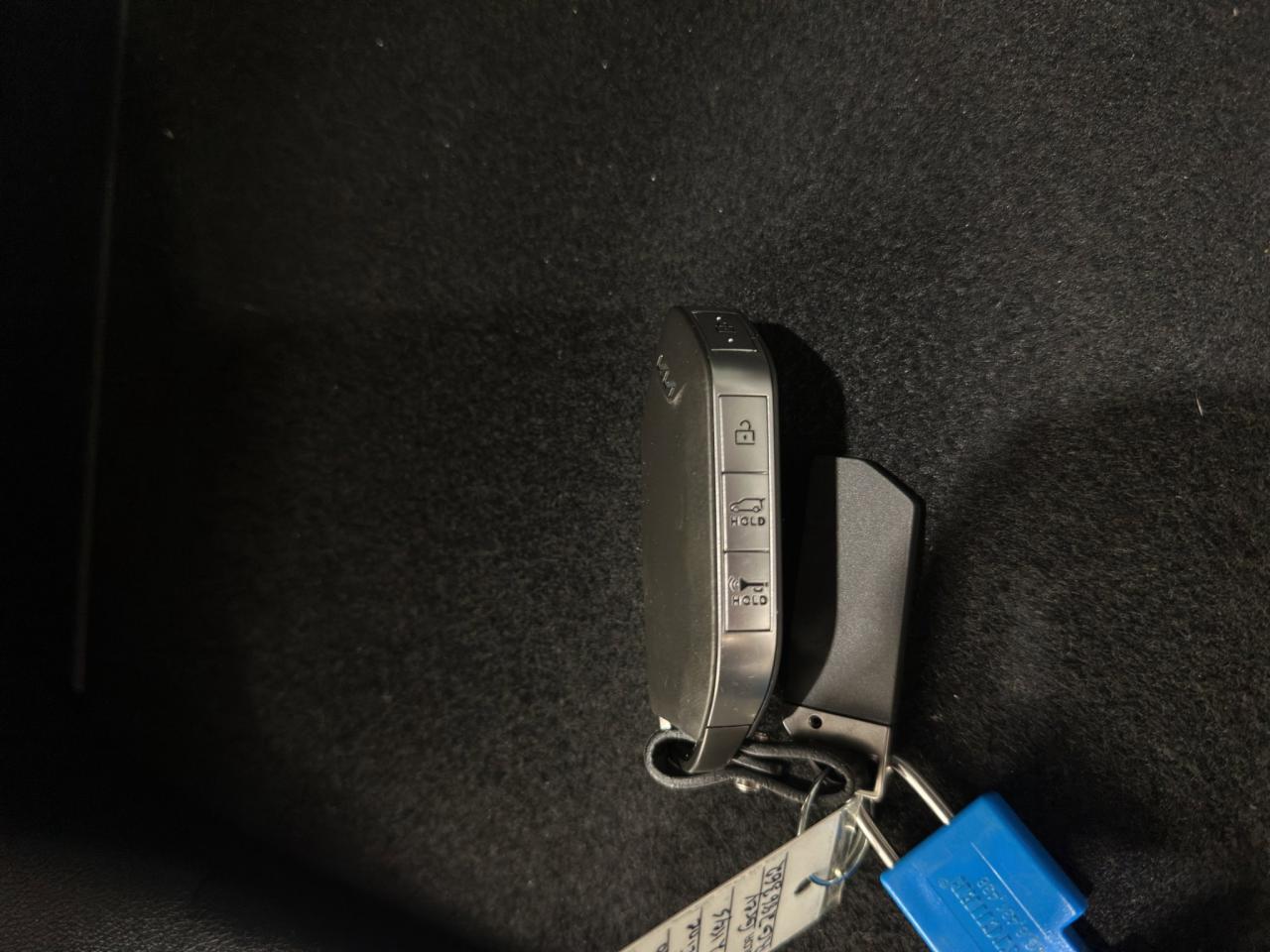 2024 Kia Sorento X-Line Limited | Reverse Cam | Heated Seats Photo