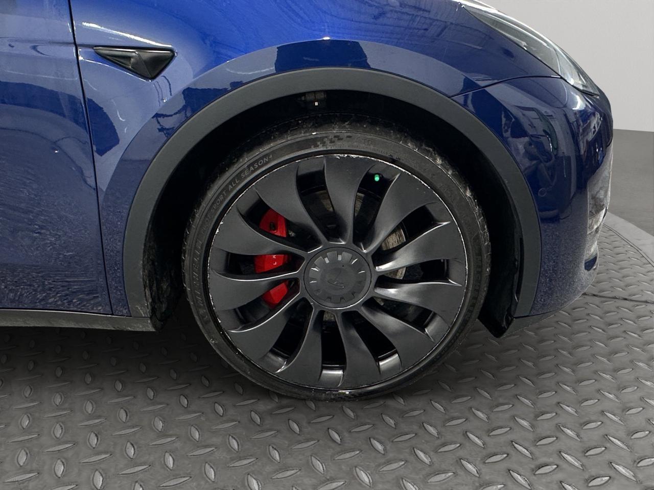 2022 Tesla Model Y PERFORMANCE Photo