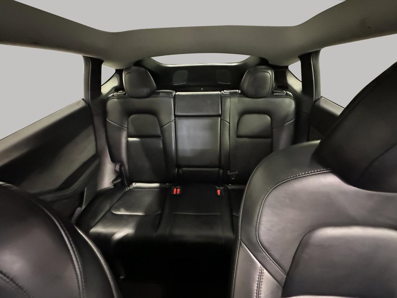 2022 Tesla Model Y PERFORMANCE Photo