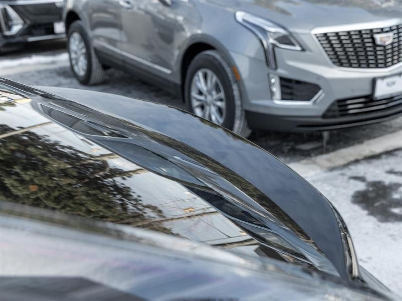 2026 Cadillac OPTIQ Sport Photo