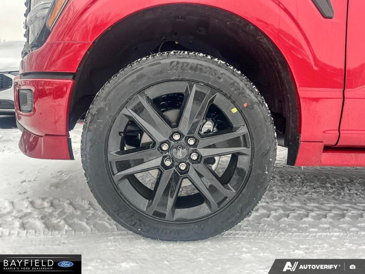 2025 Ford F-150 STX Photo