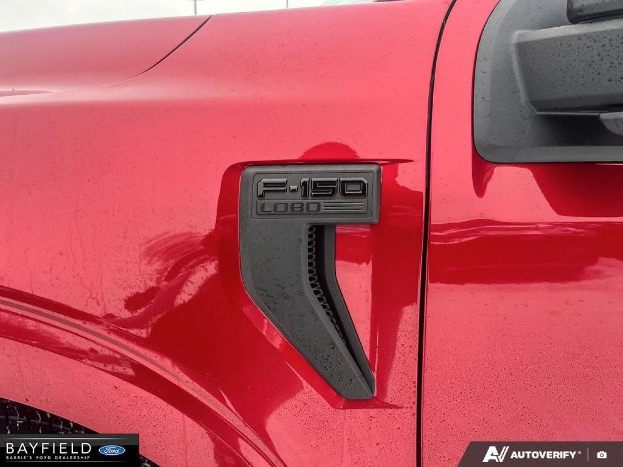 2025 Ford F-150 STX Photo