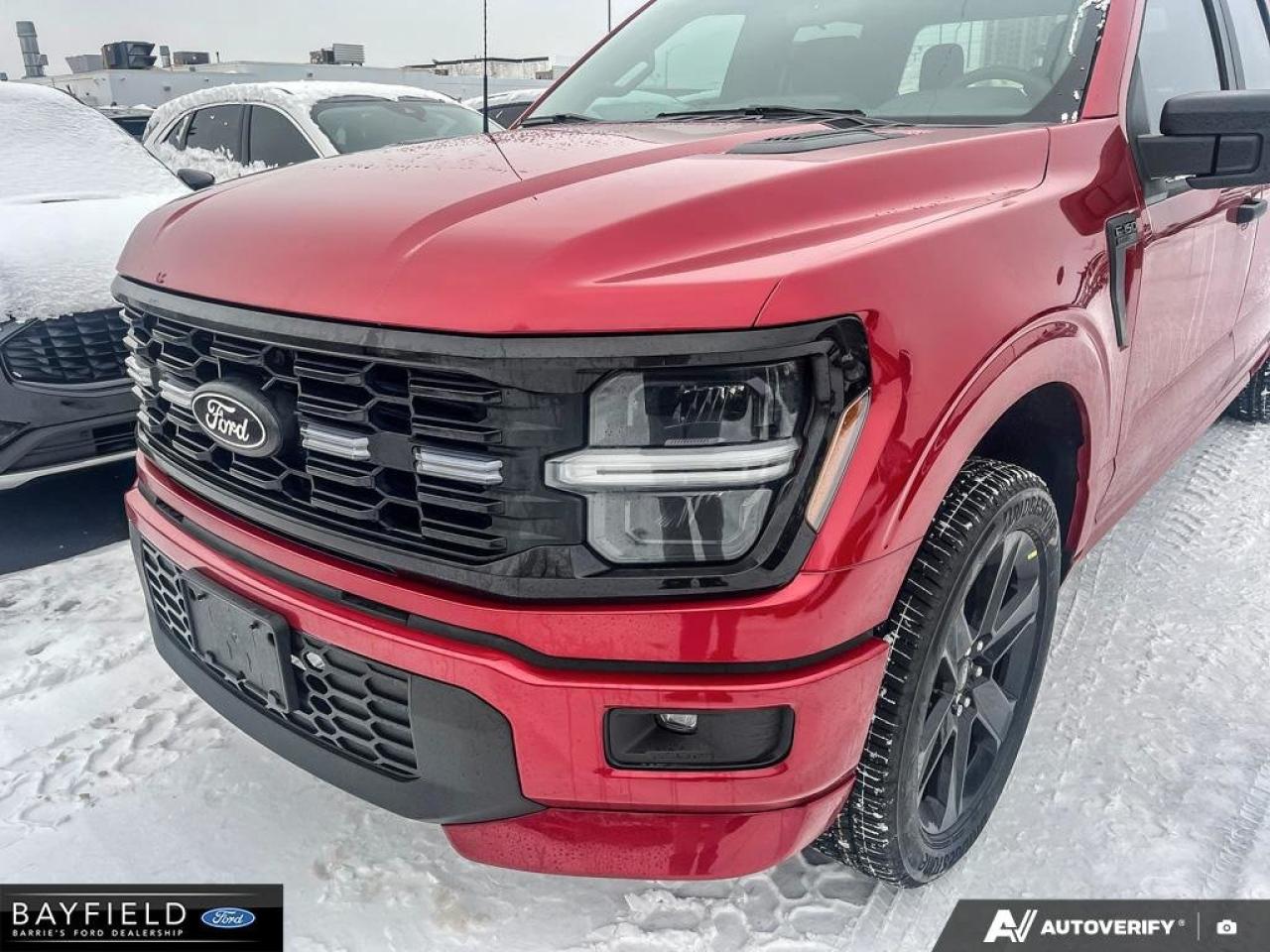 2025 Ford F-150 STX Photo