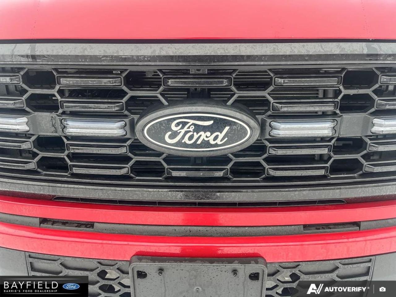 2025 Ford F-150 STX Photo